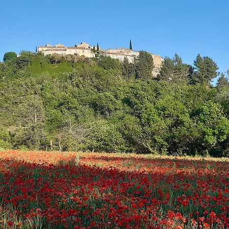 La Vita Dolce, Luberon Bed and Breakfast Grambois Eksteriør billede