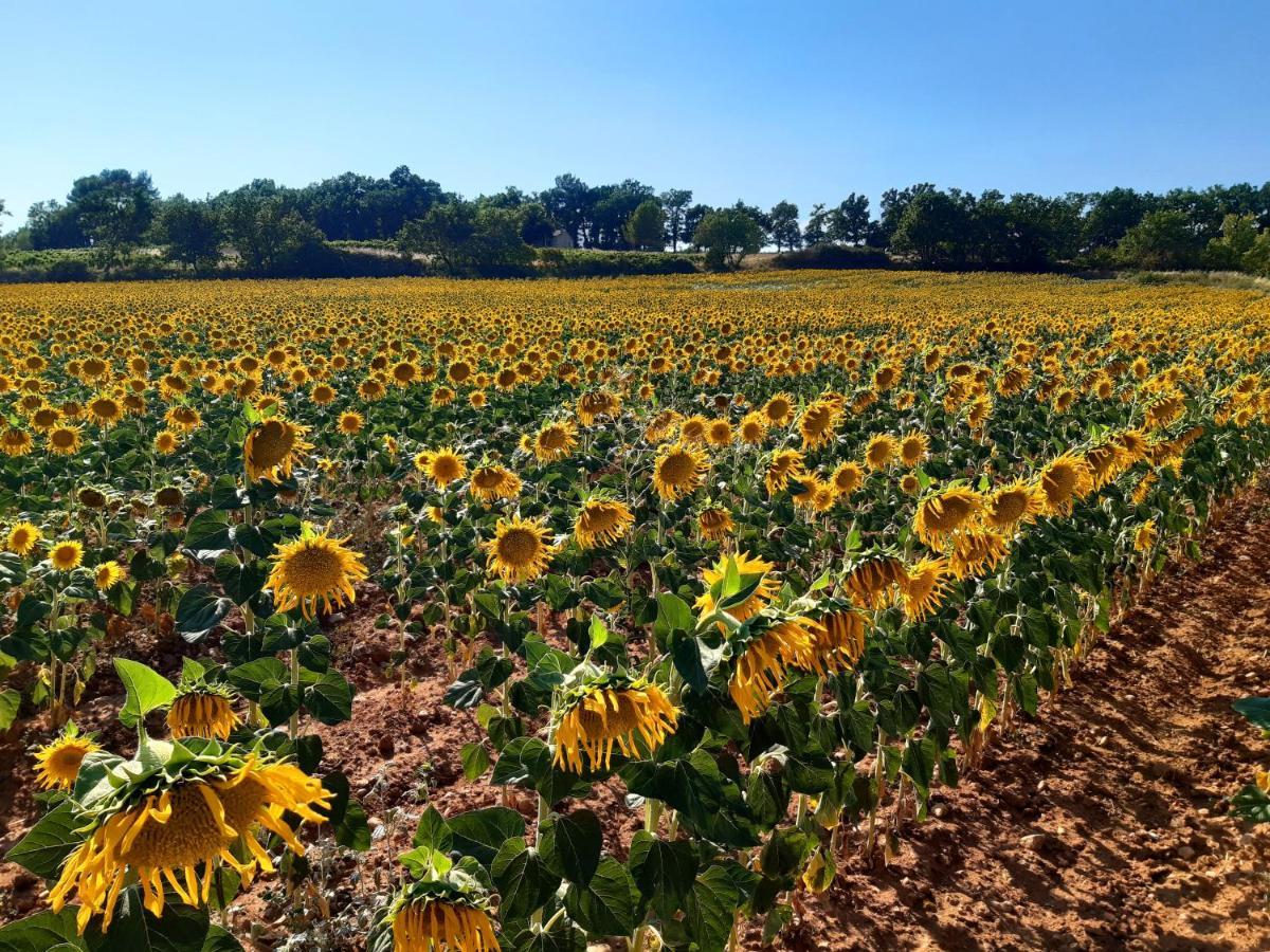 La Vita Dolce, Luberon Grambois Eksteriør billede