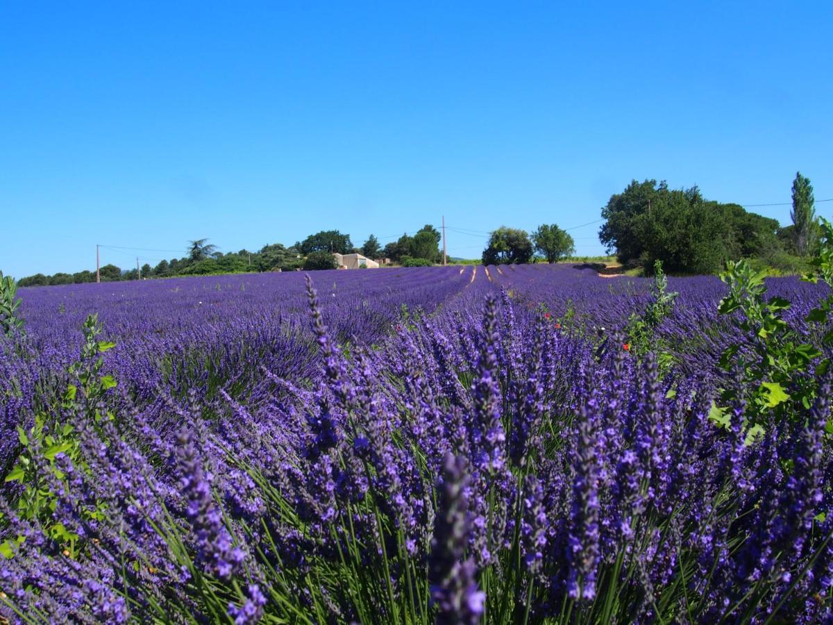 La Vita Dolce, Luberon Bed and Breakfast Grambois Eksteriør billede