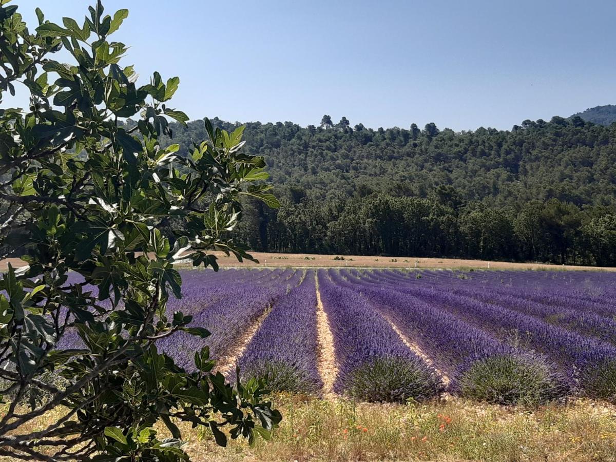 La Vita Dolce, Luberon Bed and Breakfast Grambois Eksteriør billede