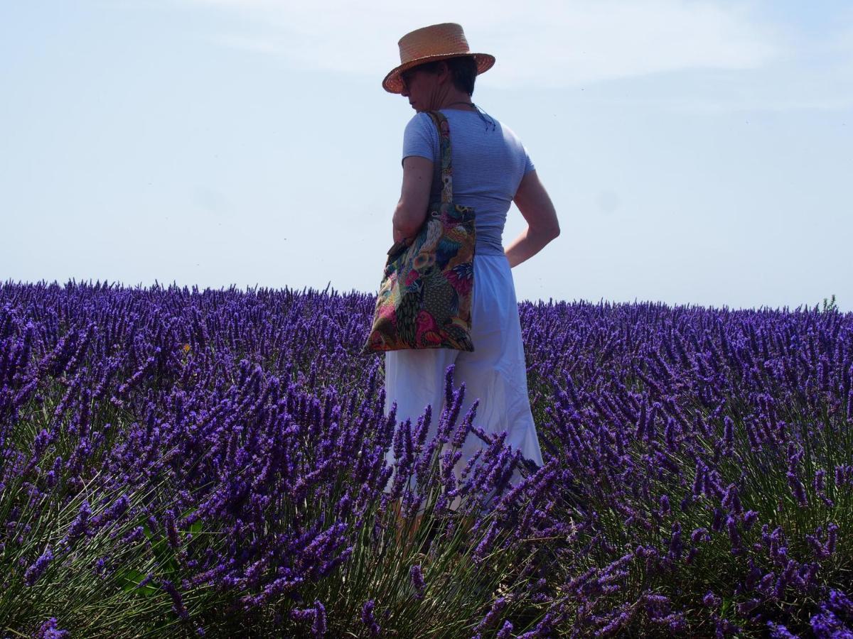 La Vita Dolce, Luberon Grambois Eksteriør billede