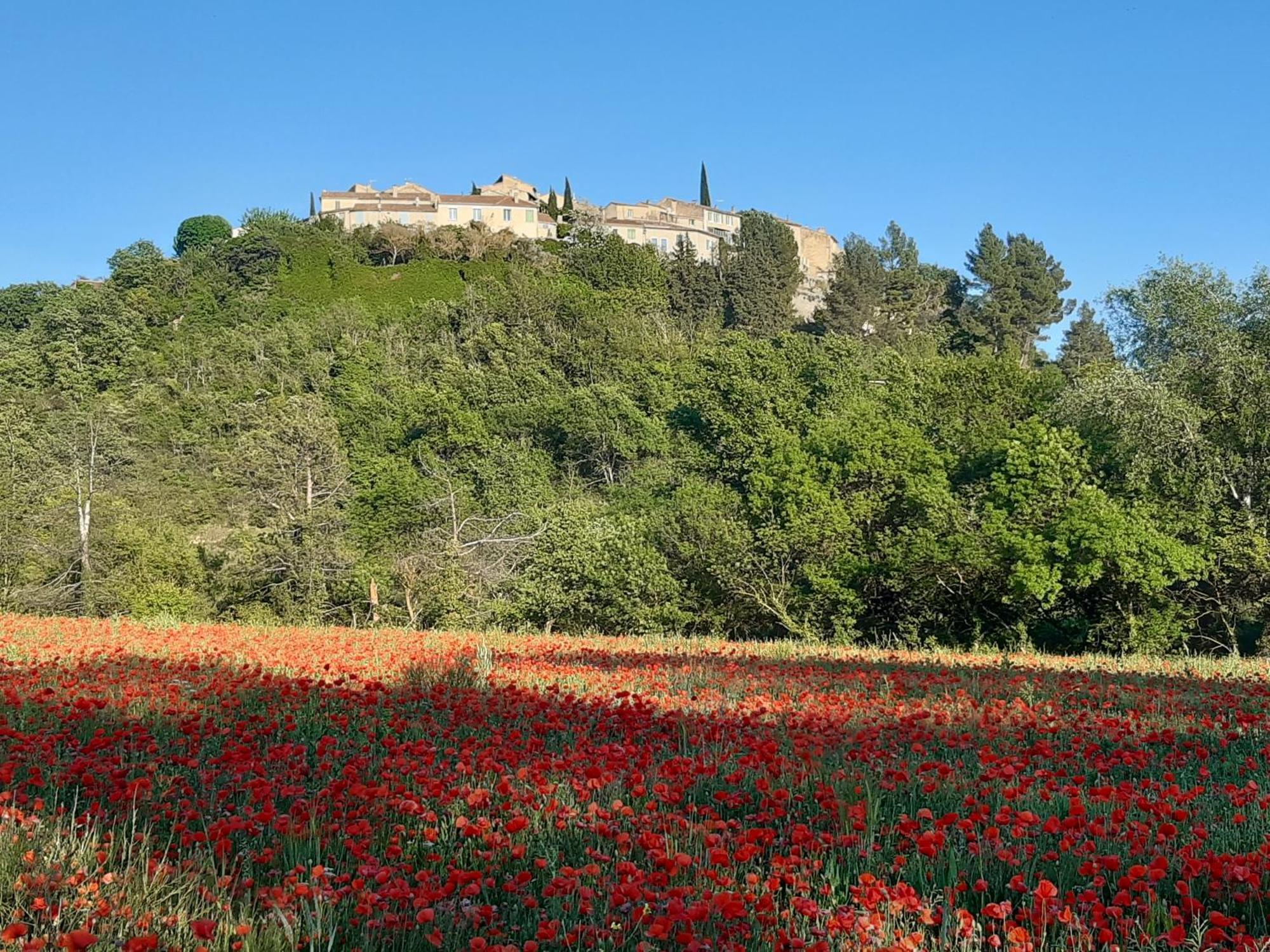 La Vita Dolce, Luberon Bed and Breakfast Grambois Eksteriør billede